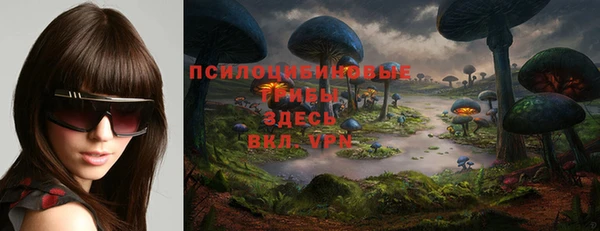 дмт Абинск